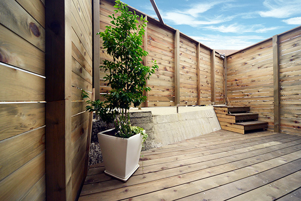 iwatatei_BAL2891_sho